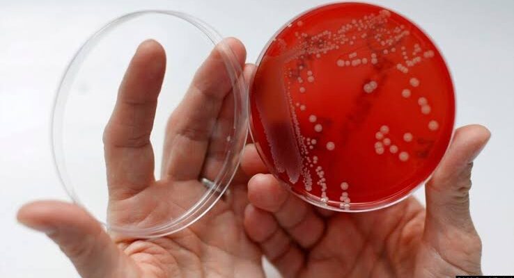 Terobosan Medis Akhir 2026: Kenapa Obat Kombinasi Antibiotik Jadi Senjata Utama Lawan Bakteri Kebal?